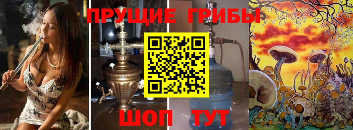 Галлюциногенные грибы GOLDEN TEACHER  Псилоцибиновые грибы Cubensis  Вход с VPN  Аргун 