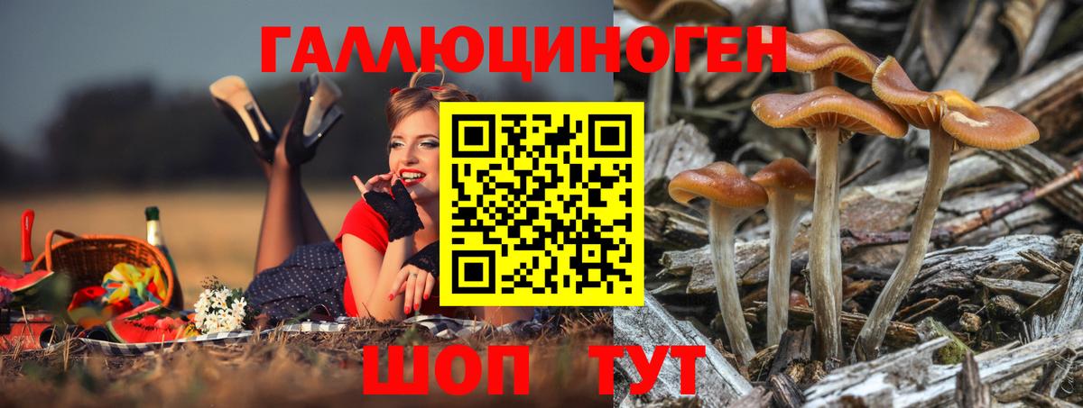 Псилоцибиновые грибы MAGIC MUSHROOMS Аргун